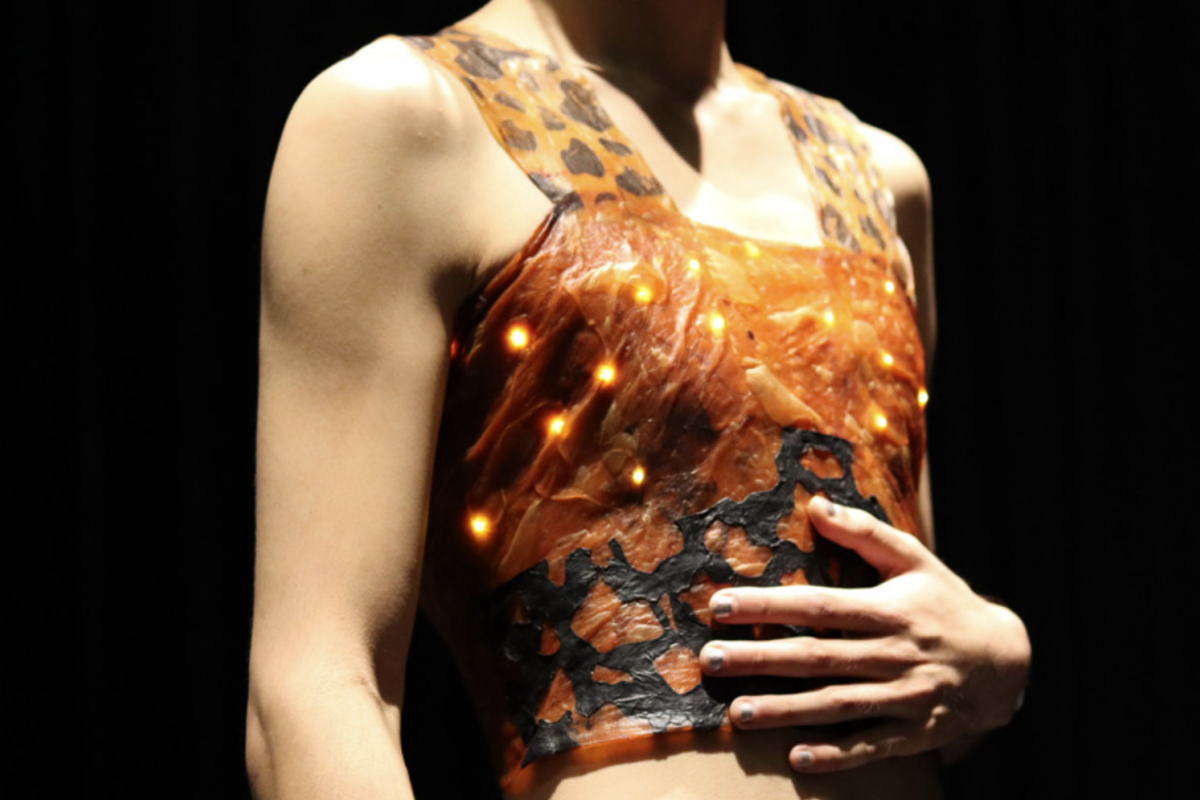 Image of a person wearing SCOBY Breastplate